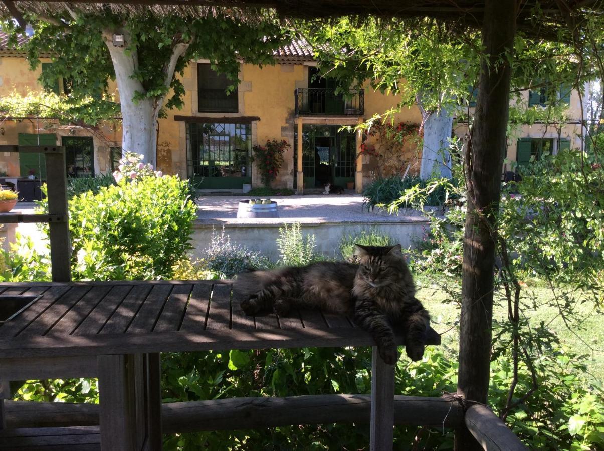 La bergerie de Castellan Bed and Breakfast Verquieres Esterno foto