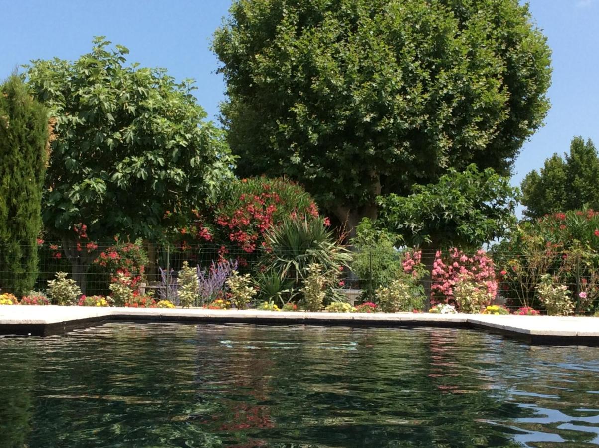La bergerie de Castellan Bed and Breakfast Verquieres Esterno foto